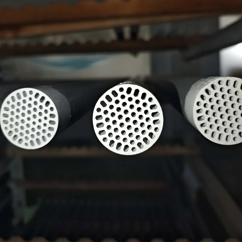 tubular membrane tubular membrane