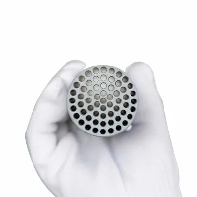 Saltvatnshreinsun himna